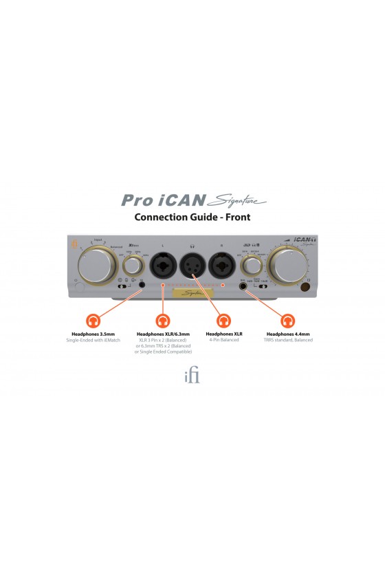 iFi Pro iCAN Signature